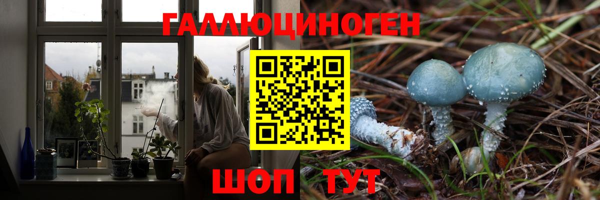 Псилоцибиновые грибы GOLDEN TEACHER Дивногорск